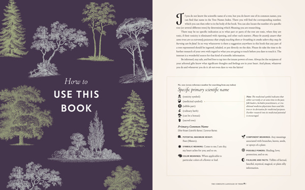 The Complete Language of Trees