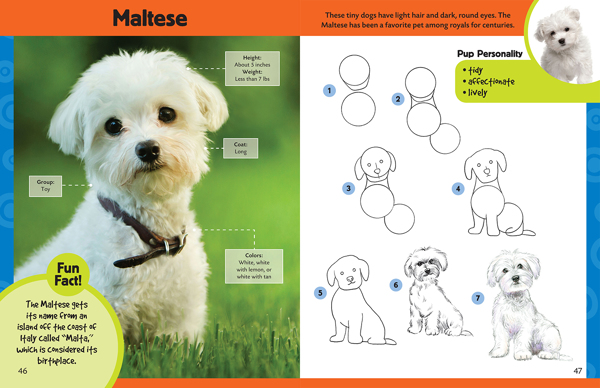 Learn to Draw Dogs & Puppies