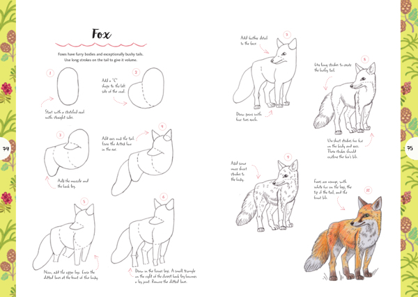 Ten-Step Drawing: Animals