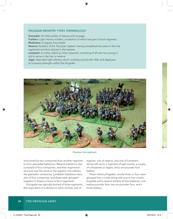 Creating A Napoleonic Wargames Army 1809-1815