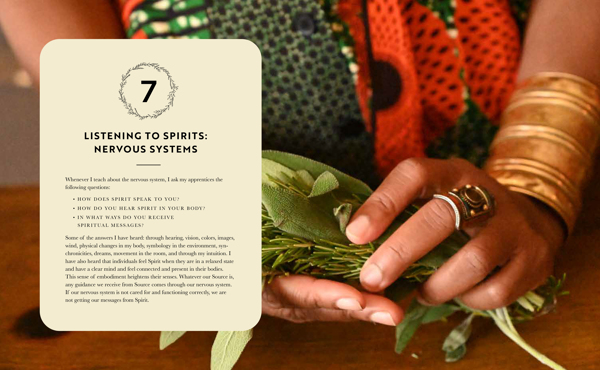 The Art & Practice of Spiritual Herbalism by Karen M. Rose | Quarto At